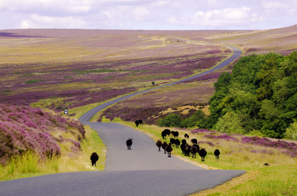 edinburgh motorcycle tour